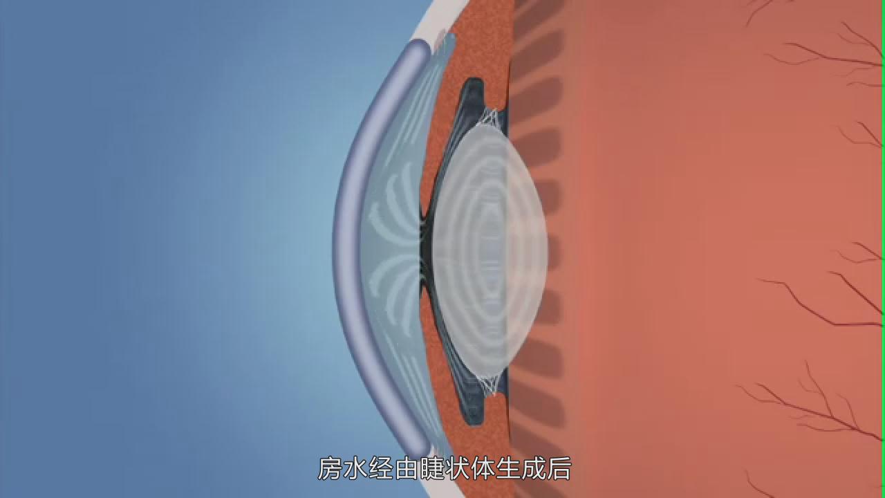 &#20339;&#21338;&#23448;&#26041;&#32593;&#39029;&#29256;&#45;&#20339;&#21338;&#65288;&#20013;&#22269;&#65289;