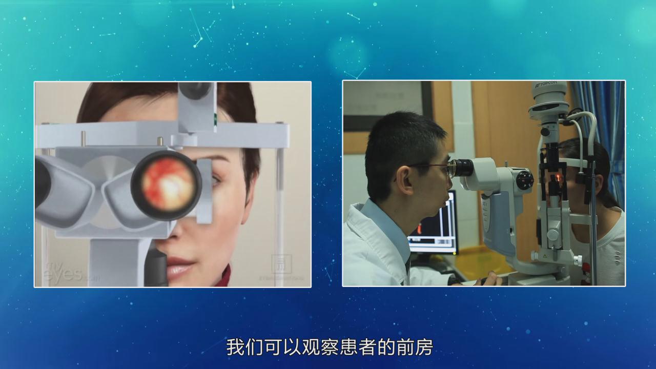 &#20339;&#21338;&#23448;&#26041;&#32593;&#39029;&#29256;&#45;&#20339;&#21338;&#65288;&#20013;&#22269;&#65289;